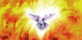 L’ Esprit de Vérité